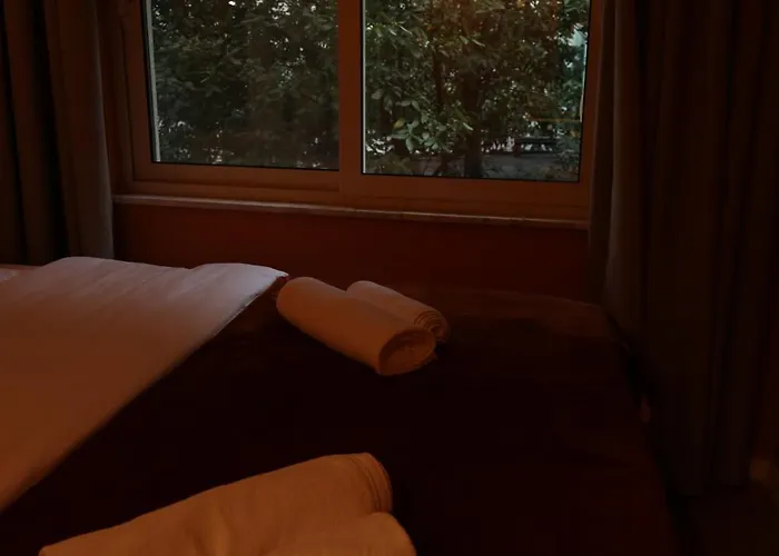 Small Boutique & Garden * Tiran