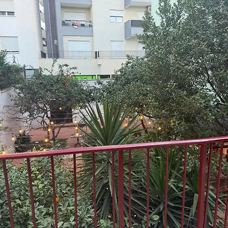 Small Boutique & Garden * تيرانا